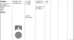 Piston 79.50 mm (Std) (3-4 Silindir) Renault Megane 1.6I K7m 702 / 703 / 720 / 744 / 745 / 746 (Rıken Segmanlı)