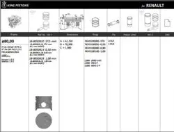Piston 80.00 mm (Std) Renault Kangoo 1.9D 97-F8q 630 / 632 / 662 (Rıken Segmanlı)