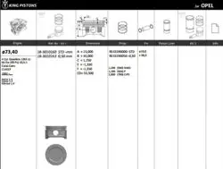 Piston 73.40 mm (Std) Opel Meriva Astra 1.4 16V 04-Z14xep (Euro 4) (Rıken Segmanlı)