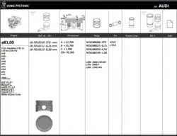 Piston 81.01 mm (Std) Volkswagen Passat A3 A4 A6 1.8 T 20V Agu Awb Aeb Apu (Rıken Segmanlı)