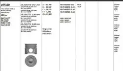 Piston 75.00 mm (Std) Peugeot P206 P307 Partner II P308 P3008 P5008 Citroen Berlingo II C4 C5 II 1.6 HDI Dv6td Dv6ted 04-(Rıken Segmanlı)