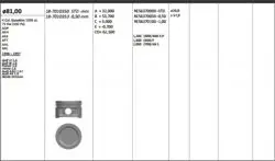 Piston 81.00 mm (0.50) Volkswagen Golf IV Bora 1.6 Aft Akl (Rıken Segmanlı)