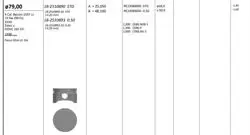 Piston 79.00 mm (0.50) Ford Focus Ghıa Lx 1.6 16V 73 KW (99 Ps) Zh16-Zetec-S Dohc (Rıken Segmanlı)