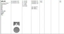 Piston 81.00 mm (Std) Volkswagen Golf IV Bora Passat 1.6 94-Alz Bfq Bse Alz Avu Bsf Bgu (Rıken Segmanlı)