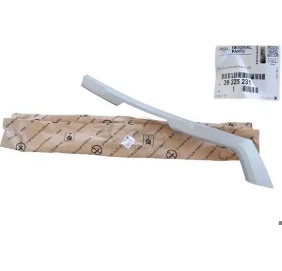 Tamponcıtaları