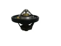 Termostat 74C (Ford Focus C-Max Puma)