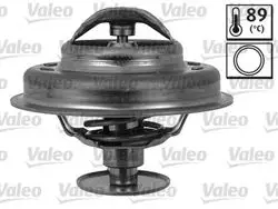 Termostat Citroen / Peugeot