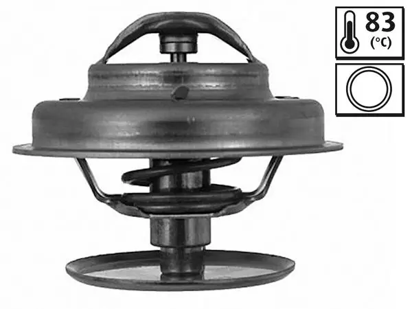 Termostat Ford Peugeot
