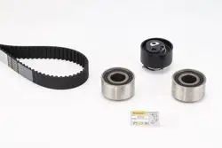Triger Gergi Seti (Peugeot 2.7Hdı 3.0 HDI 407 607 / Land Rover Discovery III-IV Range Rover IV)