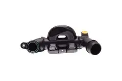 Manifold Susturucu Hortumu (Ford: Focus Cmax 1.6 TDCI 03 -)