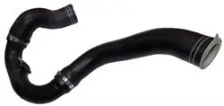 Turbo Hortumu Komple (Fiat: Doblo 1.3Mjtd 2009 >)