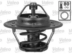 Termostat Citroen