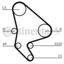 Triger Seti + Devirdaim (Peugeot: 306 307 406 Partner Dw10ated Fiat: Ducato 2.0Jtd 95- / Scudo 2