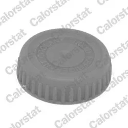 Soğutma Maddesı Kapağı (Nissan: Almera II 00-06 Primera 02 -)