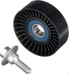 V Kayış Gergi Rulmanı (Fiat: Scudo 2.0)