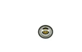 Renault Clio Symbol 2006-2008 1.4 Termostat