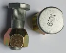 Bijon Komple Saplama Somun Takım On Kia: Bongo K2500 04 >-(Saplama: Ø 21 M14×1.50 B-22 L-42 H-47,30 D1-Ø 14.6 Frezesomun: Aa.23 M14×1.50 B-20 H-20)