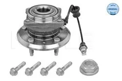 Porya Opel Antara Chevrolet Captiva Arka