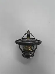 Termostat Opel Antara Chevrolet Captiva C100 Cruze Epica