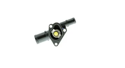 Thraz7007 / Termostat