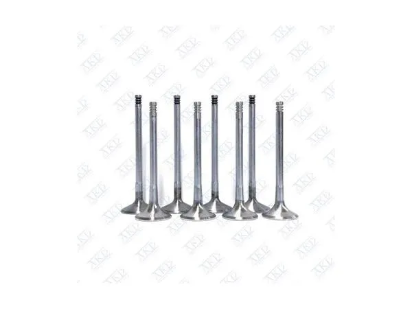 Subap Takımı Kalos 1.2 8V (In 4 / Ex 4)