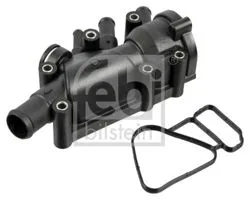 Termostat Ford