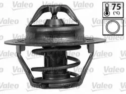 Termostat (Renault Clio III 2.0 16V 2006 /)