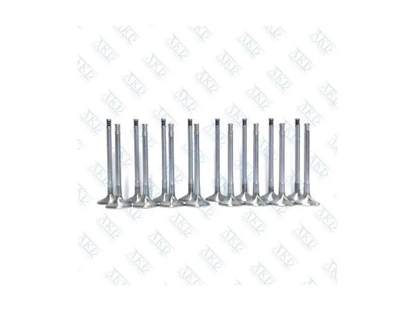 Subap Takımı C14nz X14sz Astra F Corsa B