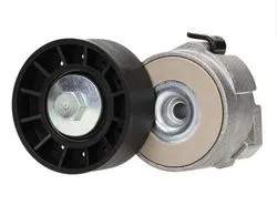 Alternatör Gergi Rulmanı (Kütüklü) Fiat Ducato 2.3 JTD-2.3D (02 -)