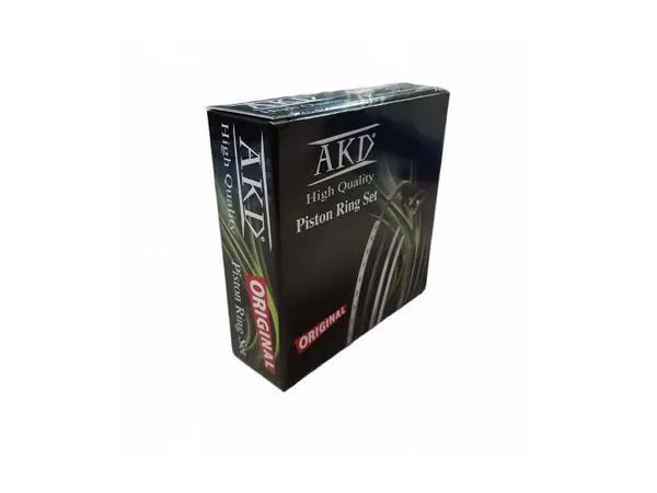 Motor Segman X25xe Omega B Vectra B 2500 24V 81.60mm Std (1.5X1.5X3.0) 6 Silindir Takım