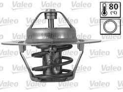 Termostat Skoda