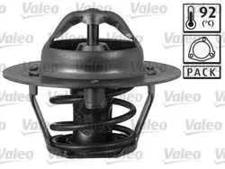Termostat Ford Usa