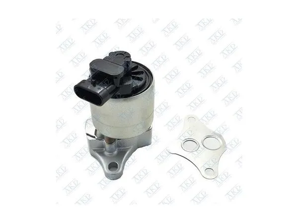 EGR Valfi Omega B Vectra B X22xe X25xe X30xe
