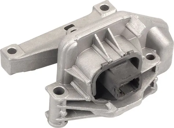 Motor Takozu P1007