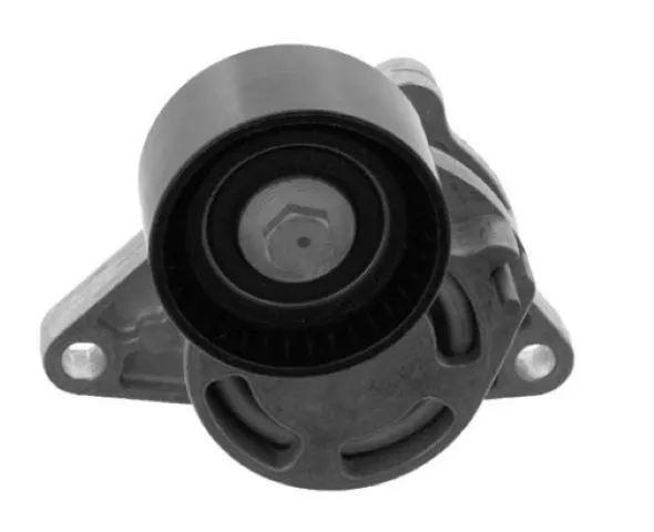 Alternatör Gergi Rulmanı (Kütüklü) Renault Clio II 01-06 Megane II 02-08 Kangoo