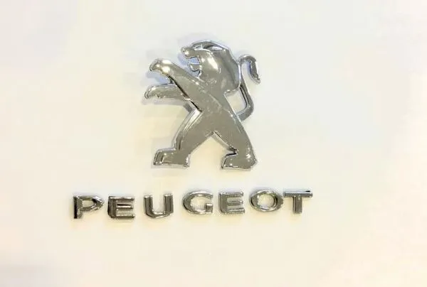 Arka Peugeot Yazı Ve Amblemı 301