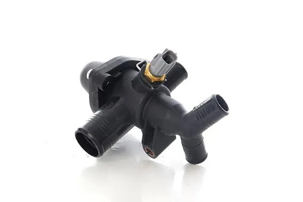 Termostat Yuvası Termostat Ranger Bm 11-