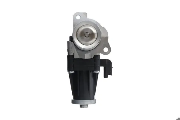 EGR Valfi
