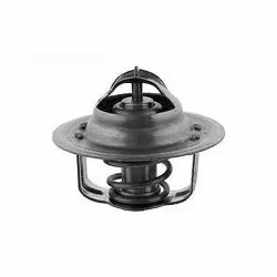 Audi A4 2006-2009 CAHA Motor Termostat