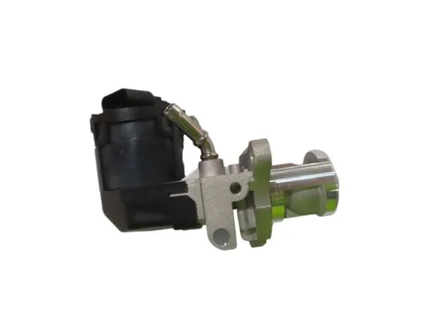 EGR Valf BMW N47 N57 E70 E71 E87 E90 F01 F07 F10 F20 F30