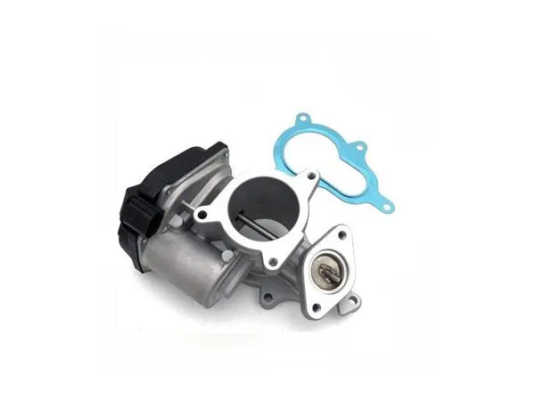 EGR Valfi Audi A4 8Ed-Audi A6 4F2 2.0 TDI Bna-Brf-Brd-Bre-Blb