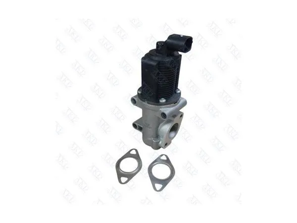 EGR Valfi Z1.9Dt Dtl 8V Astra H Vectra C Zafira B