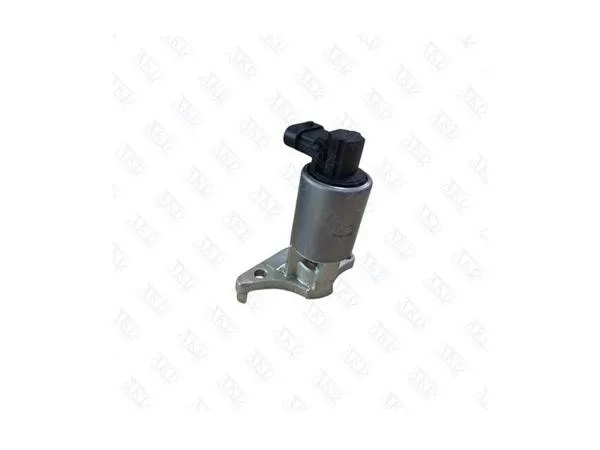 EGR Valfi Vectra C Z22se