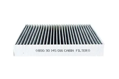 Polen Filtresi Karbonlu/Av6n 16N619 Aa Focus/C-Max/Kuga/Connect Bm 11-