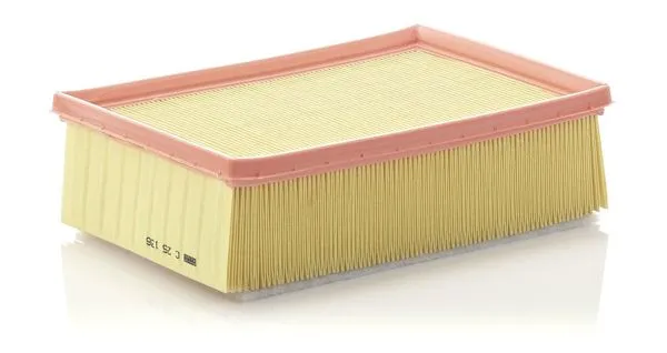 Hava Filtresi Psa C4 307 01 -