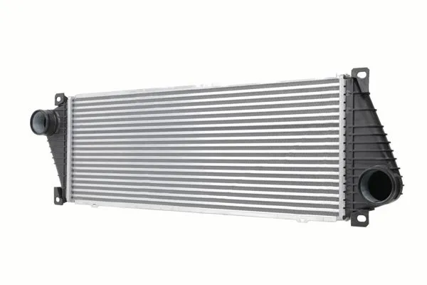 İnterkol Radyatörü W901