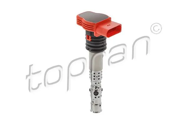 Bobin 01-06 A4-A6 2.0-3.0 *Alt* [P.H]