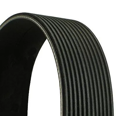Kanallı V Kayışı Iveco 500341810
