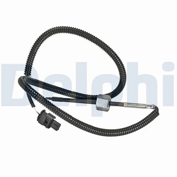 DELPHI TS30385-12B1 |