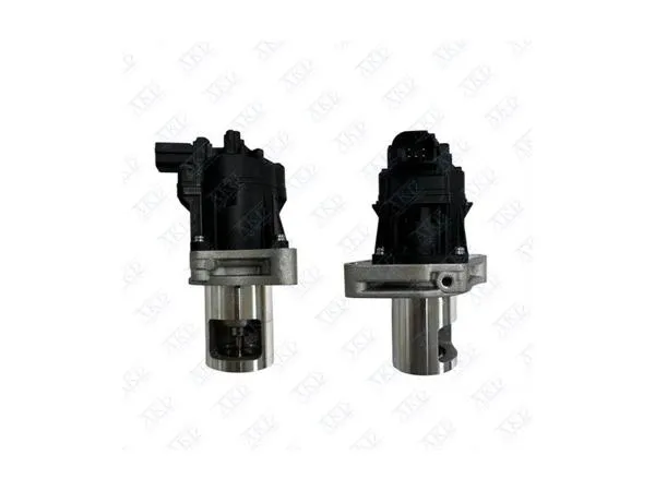 EGR Valfi B16dth Astra J Insignia